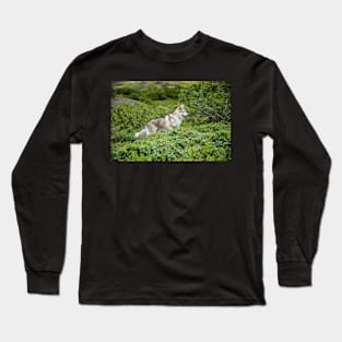 Alaskan Husky in Iceland Long Sleeve T-Shirt